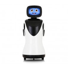 Artificial Intelligence Reception Robot